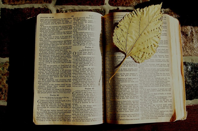 bible-page